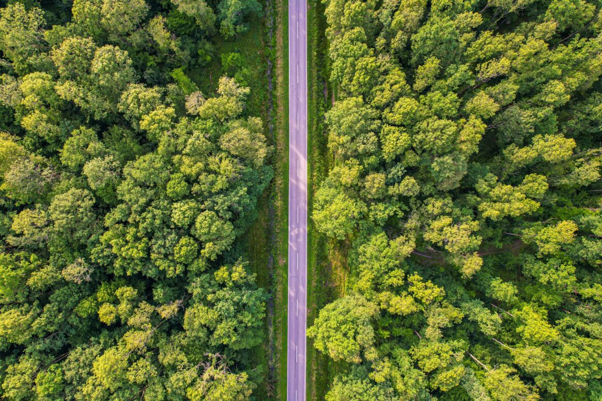 Jak wprowadzić ESG do małej firmy?